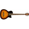 FA-450CE Bass