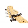 Dragon-CAPO
