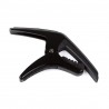 Phoenix Capo