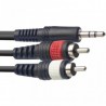 SYC3/MPS2CM