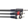 SYC6/MPS2CM